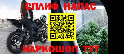 мяу мяу мука Абакан