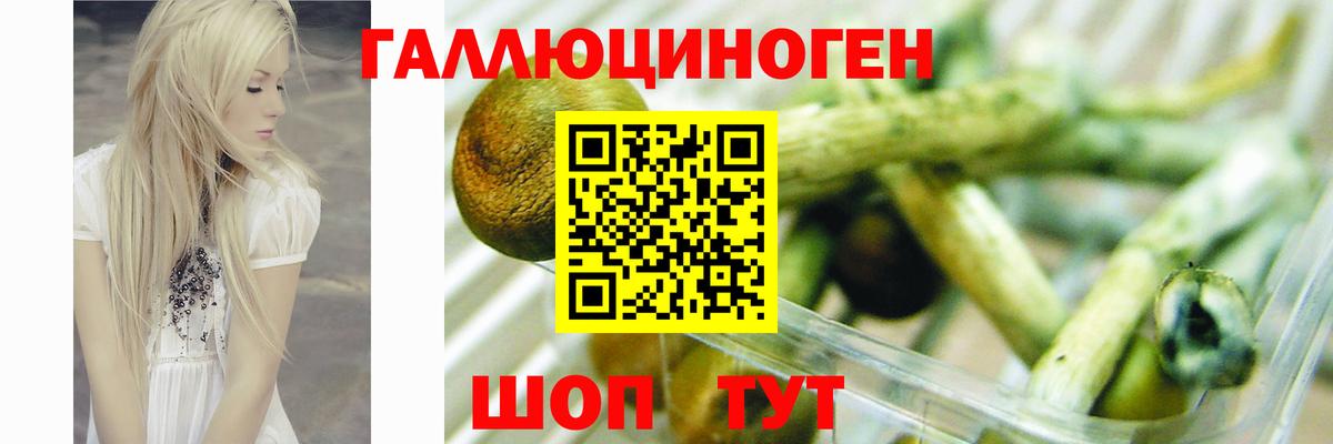 Псилоцибиновые грибы ЛСД Алейск