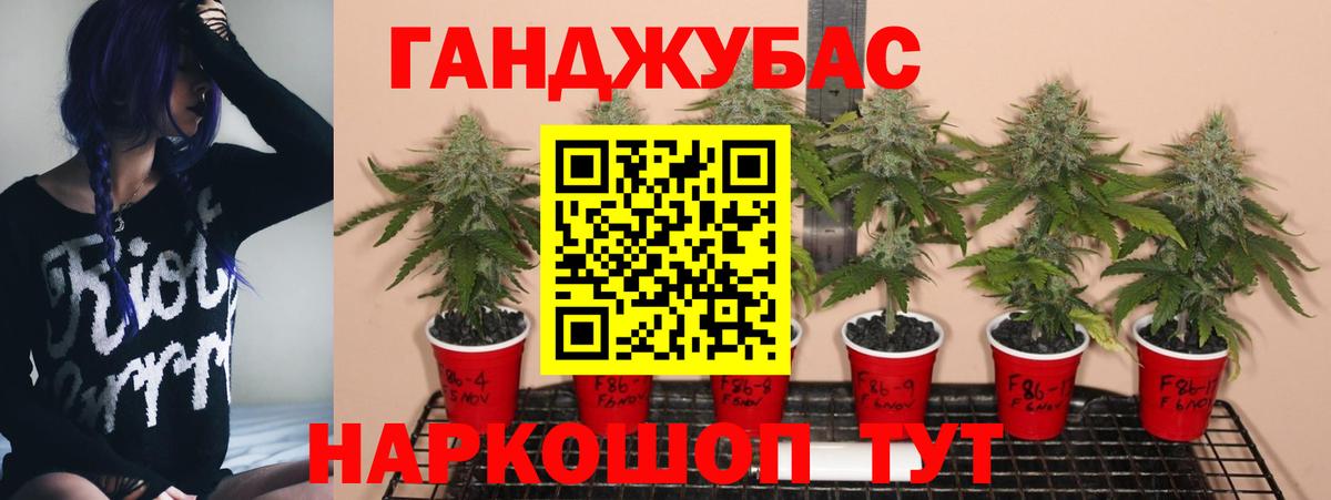 Бошки марихуана марихуана Алейск